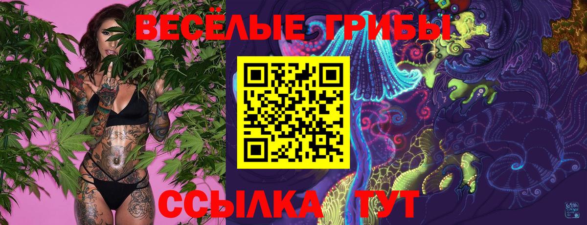 Магнитогорск  Псилоцибиновые грибы Magic Shrooms  Вход с VPN  Галлюциногенные грибы Cubensis 